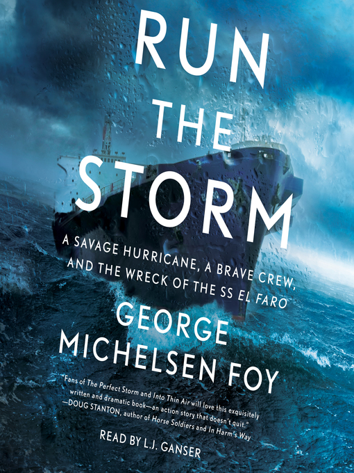 Title details for Run the Storm by George Michelsen Foy - Available